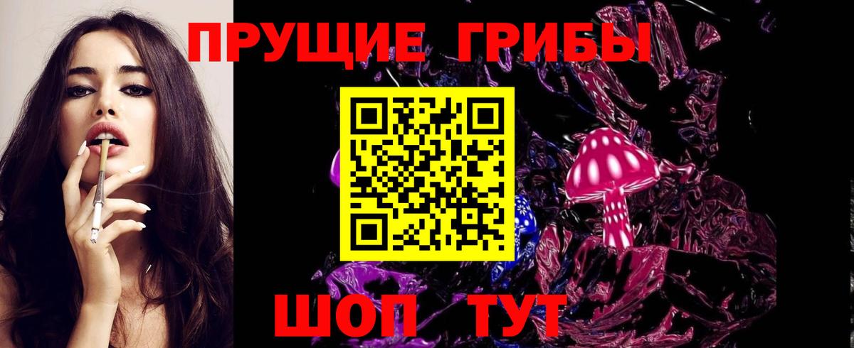 Великий Устюг  Галлюциногенные грибы Psilocybine cubensis  Вход с VPN 