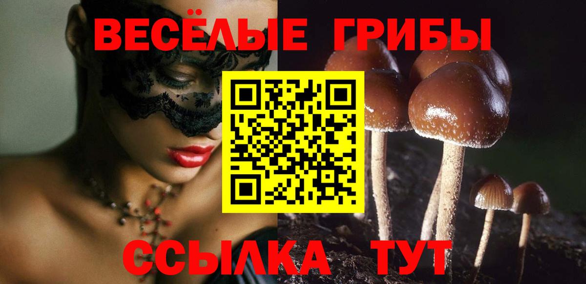 Псилоцибиновые грибы мицелий Великий Устюг